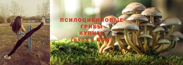 амфетамин Алексин