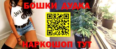 индика Свободный