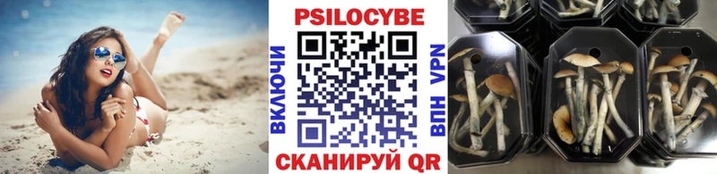гидра ссылка  Чайковский  Галлюциногенные грибы GOLDEN TEACHER 