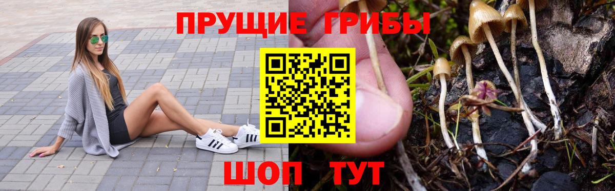 Галлюциногенные грибы прущие грибы  Вход с VPN  наркотики  Чайковский 